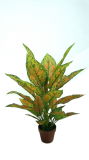 Atificial Plants and Flowers of Spotted Dieffenbachia 86cm Gu-Bj-881-30