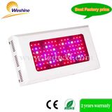 Dimmable Full Spectrum 300W, 500W LED Plant Grow Light Panel Light (WS-PR3P300)