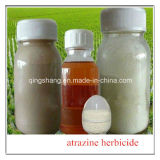 Herbicide 97% Tech 80%Wp 90%Dwg Atrazine