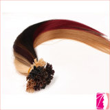 Wholesale 5A Brazilian Remy Hair Pre Bonded U Tip Hair