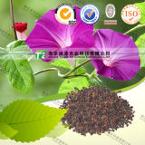 100% Pure Natural Herb Medicine Pharbitis Seed