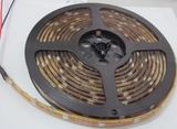 DC12V IP68 Glue Sealed Flexible LED Strip Light