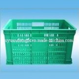 Plastic Container/Crate/Turnover Box for Transport Package