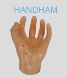 Hand Healthcare Acupuncture Model