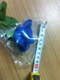 Blue Rose. Blue Rose Flower. High Quality Real Touch Rose Flower (SH01021)