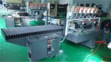 Outdoor Advertising Screens Double Edges Polishing Machinery