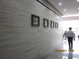 Marble Project