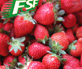 Grade a IQF Strawberry