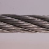 Galvanized/ Ungalanized Steel Cable/ Wire Rope