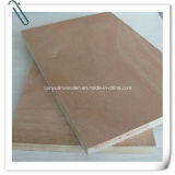 Commercial Grade Okoume Plywood for Packing / Furniture Application