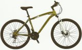 MTB, Mountain Bike, Mountain Bicycle (1231)