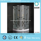 China Made Sliding Luxury Simple Shower Room (BLS-9608)