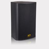 300W Neodymium Magnet Professional Speaker Box