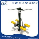 Double Stepper Playground Fitness Equipment (BLO-039)