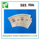 Biodegradable Raw Material Paer with PE Coated
