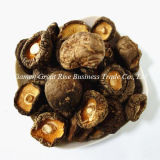 2014 Chinese Whole Piece Air-Dried Shiitake Mushroom for Year-End Promotion
