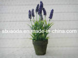 Artificial Lavender Bonsai (XD13-237)