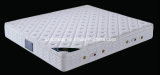 High Quality Latex Foam with Spring Mattress (B305)