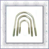 Stainless Steel U Bolt