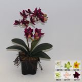 Artificial Potted Flower, Imitative Silk Orchid