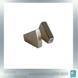 Rare Earth Segment Magnet