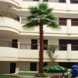 Widely Used Arficial Palm Tree with Fiberglass Fake Bonsai Tree