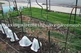 Garden Flower Metal Wire Support