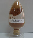 Rhodiola Rosea Extract 1%, 2%, 3%, 5%HPLC