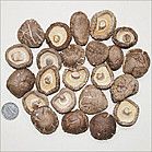 Dried Shiitake Mushroom