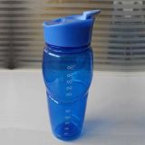 Sport Bottle, Water Bottle, Plastic Bottle, Pctg Material, 700ml (B08307) 