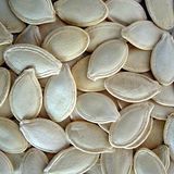 2015 New Crop /Snow White Pumpkin Seeds