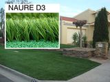 Landscaping Grass