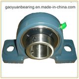 SKF Quality Pillow Block Bearing