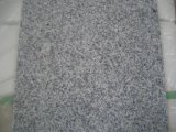 Most Popular Grey Color Natural Granite Stone