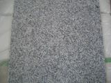 Most Popular Grey Color Natural Granite Stone