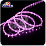 Holiday Strip Light with Waterproof IP54