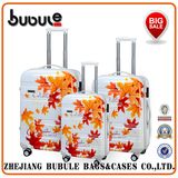 Hard Luggage PC Luggage 3PCS Pcl001-20