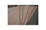Commercial Plywood for Furniture, Decoration