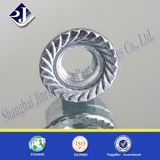 Flange Nut (Galvanizing)