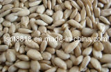Confectionary Sunflower Seed Kernels