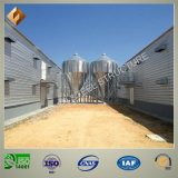 Steel Structure for Poultry House/Building