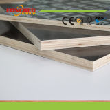 Poplar Core Black Film Faced Plywood with Competitive Price