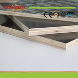 Poplar Core Black Film Faced Plywood with Competitive Price