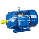 Y Series Triphase Electric Motor