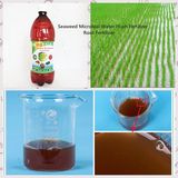 Seaweed Microbial Water Flush Fertilizer-Root Fertilizer