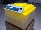 Household Eggs Incubator Can Holding 96 Eggs/Small Chicken Eggs Incubator/Bird Egg Incubator