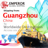 Sea Freight Shipping From Guangzhou to Worldwide Destinations