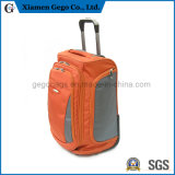 Suitcases, Cheapest Travelling Bag Dufuel Luggage with Wheel Trolley Trolley