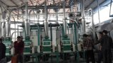 30-50tpd Wheat Flour Mill Plant