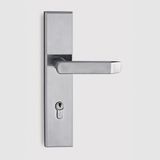 Stainless Steel Door Handles (D2048) AISI304